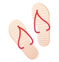 Summer bleach rubber flip flops pair in cartoon realistic style