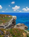 Summer blossoming Atlantic coast, Spain