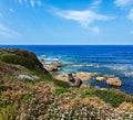 Summer blossoming Atlantic coastline (Galicia