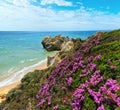 Summer blossoming Atlantic rocky coast view with purple flowers and narrow sandy beach Albufeira outskirts, Algarve, Portugal Royalty Free Stock Photo