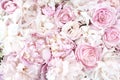 Summer blossoming delicate peony and roses, blooming flowers festive background, pastel and soft bouquet floral card Royalty Free Stock Photo