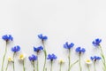 Summer blue cornflowers and daisy flowers on white background. Royalty Free Stock Photo