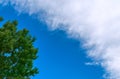 Summer Blue Sky Cloudscape Royalty Free Stock Photo