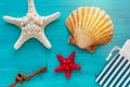 Summer board of sea shells scallop and star fish on blue wooden background Royalty Free Stock Photo