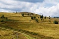 Summer bob track on Le Markstein mountain in the Vosges