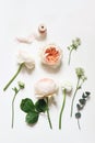 Summer botanical floral composition. Apricot English roses, ranunculus, astrantia flowers, eucalyptus branch and pink