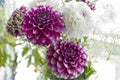 Summer Bouquet - Dahlias Royalty Free Stock Photo