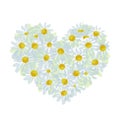 Summer bouquet heart shape made from daisy, sketch