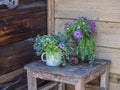 Summer bouquet of small wildflowers on an old wooden stool on the porch of a wooden house