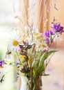 Summer bouquet of wild flower Royalty Free Stock Photo