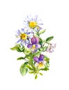 Summer bouquet of wild flowers - chamomile, pansy, meadow grass. Watercolor illustration Royalty Free Stock Photo