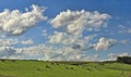 Summer in the Bourgogne, France. Beautiful sunny day in the fields of France