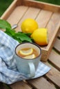 Summer breakfast in beautiful blooming garden