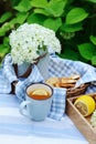 Summer breakfast in beautiful blooming garden with tea, lemon and cookies Royalty Free Stock Photo