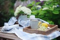 Summer breakfast in beautiful blooming garden Royalty Free Stock Photo