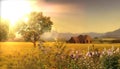 Wild field Nature landscape Meadow of wheat trees ,Lavender  flowers on field sunslight blue sky with white clouds summer banner Royalty Free Stock Photo