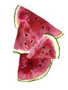 Summer bright watercolor postcard with pieces of watermelon. Royalty Free Stock Photo