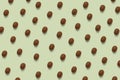 Summer brown kiwi pattern on the green pastel background