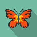 Summer butterfly icon, flat style. Royalty Free Stock Photo