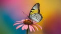 Summer butterfly sits atop flower against colorful background