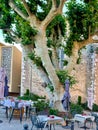 Summer cafe under green trees in the old town in Provence in France Royalty Free Stock Photo