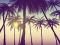 Summer california tumblr backgrounds set with palms, sky and sunset. Summer placard poster flyer invitation card.