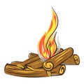 Summer campfire icon, cartoon style Royalty Free Stock Photo