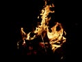 Summer campfire and view of flames and burning wood