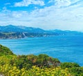 Summer Cape Vidio coastline landscape with yellow flowers in front (Asturias, Cudillero, Spain Royalty Free Stock Photo