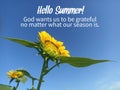 Summer card with spiritual inspiraitonal quote - Hello Summer. God wants us to be grateful no matter what our season is.