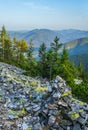 Summer Carpathian mountains evening view. Stony Gorgany massif, Ukraine