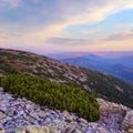 Summer Carpathian mountains evening view. Stony Gorgany massif, Ukraine