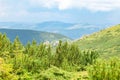 Summer Carpathian mountains Royalty Free Stock Photo