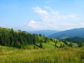 Summer in Carpathian mountains, Ukraine Royalty Free Stock Photo