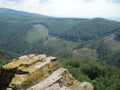 Summer in the Carpathian Mountains Royalty Free Stock Photo