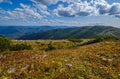 Summer Carpathian mountains view. Stony Gorgany massif, Ukraine