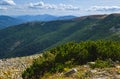 Summer Carpathian mountains view. Stony Gorgany massif, Ukraine