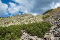 Summer Carpathian mountains view. Stony Gorgany massif, Ukraine