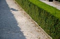 Summer castle parterre with boxwood hedges honestly trimmed around which the path leads from light gravel