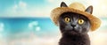 Summer Cat With A Straw Hat On The Beach. Vacation Time Royalty Free Stock Photo