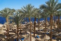 Summer chaise lounges under an umbrella on sandy sea beach and palms in hotel Egypt, Sharm el Sheikh, concept time to Royalty Free Stock Photo