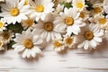 Summer chamomile flowers on white wooden background. Mockup, flat lay, copy space. Royalty Free Stock Photo