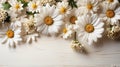 Summer chamomile flowers on white wooden background. Mockup, flat lay, copy space. Royalty Free Stock Photo