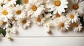 Summer chamomile flowers on white wooden background. Mockup, flat lay, copy space. Royalty Free Stock Photo