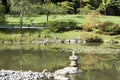 Summer charm in japanese garden Royalty Free Stock Photo