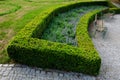 Summer chateau parterre with boxwood hedges honestly trimmed, around which the path leads along the path of beige compacted gravel