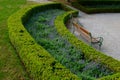 Summer chateau parterre with boxwood hedges honestly trimmed, around which the path leads along the path of beige compacted gravel