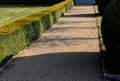 Summer chateau parterre with boxwood hedges honestly trimmed around which the path leads a path of beige compacted gravel. Boxwood