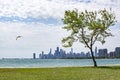 Summer Chicago Skyline Royalty Free Stock Photo