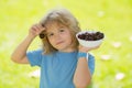 Summer child face. Kid picking and eating ripe cherries. Happy child holding fresh fruits. Healthy organic berry cherry Royalty Free Stock Photo